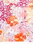 thumb image