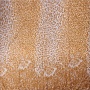 thumb image