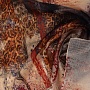 thumb image