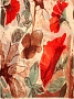 thumb image