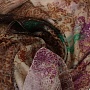 thumb image
