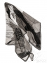 thumb image