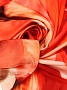 thumb image